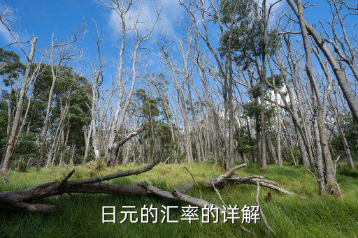 刷銀聯(lián)日元匯率怎么算，刷2020按照038的匯率算應(yīng)該扣除多少手續(xù)費(fèi)