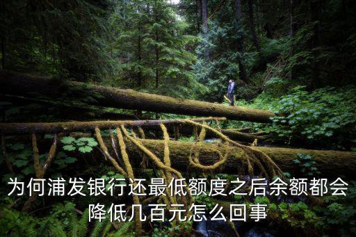 為何浦發(fā)銀行還最低額度之后余額都會(huì)降低幾百元怎么回事