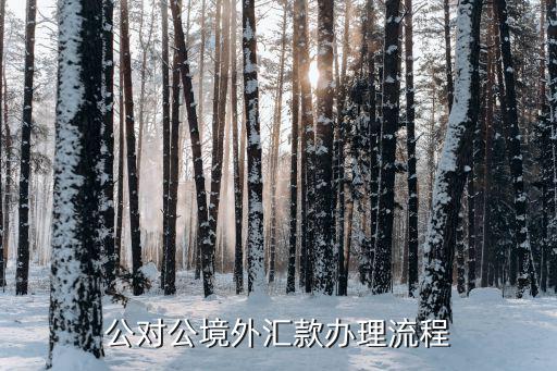 公對公境外匯款辦理流程