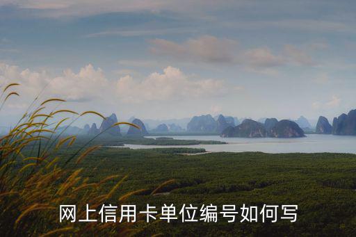 信用卡單位信息怎么寫(xiě)，網(wǎng)上信用卡單位編號(hào)如何寫(xiě)