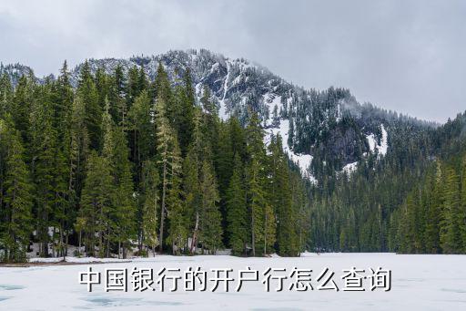 中國(guó)銀行的開(kāi)戶(hù)行怎么查詢(xún)