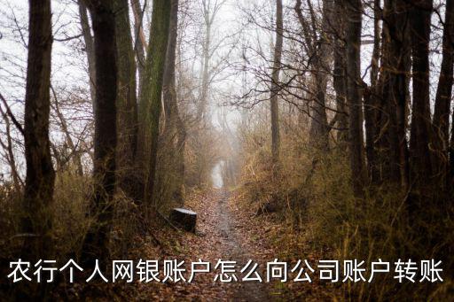 農(nóng)行個人網(wǎng)銀賬戶怎么向公司賬戶轉(zhuǎn)賬