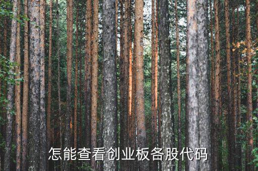 怎能查看創(chuàng)業(yè)板各股代碼