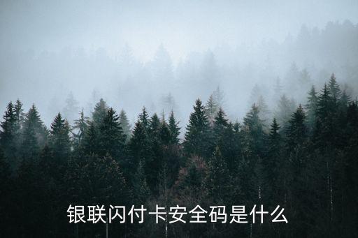 銀聯(lián)閃付卡安全碼是什么