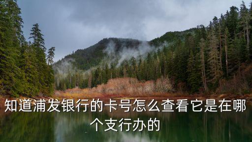 知道浦發(fā)銀行的卡號(hào)怎么查看它是在哪個(gè)支行辦的