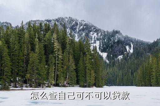 怎么查自己能不能房貸，怎樣查詢房貸是否通過