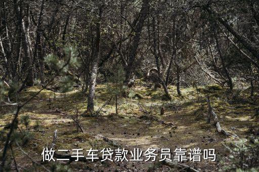 做二手車貸款業(yè)務(wù)員靠譜嗎