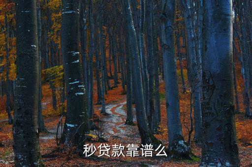 微信秒借怎么樣，請(qǐng)問(wèn)秒借錢這個(gè)應(yīng)用可信嗎