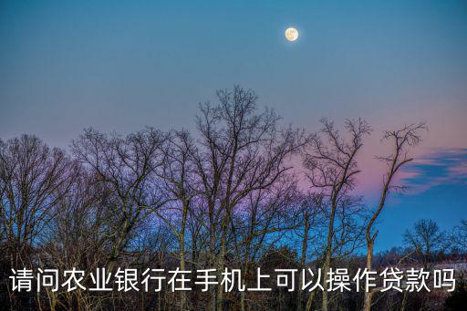 網(wǎng)上農(nóng)業(yè)銀行怎么貸款，農(nóng)行可以網(wǎng)上貸款嗎