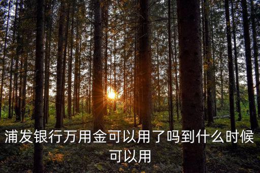 浦發(fā)銀行萬用金可以用了嗎到什么時候可以用