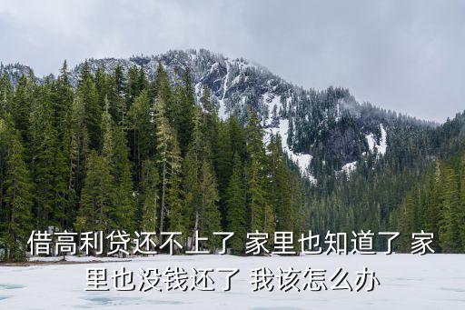 借高利貸還不上了 家里也知道了 家里也沒錢還了 我該怎么辦