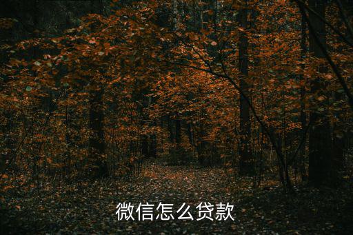 微信怎么貸款