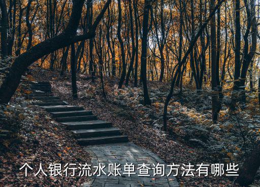 個人銀行流水賬單查詢方法有哪些