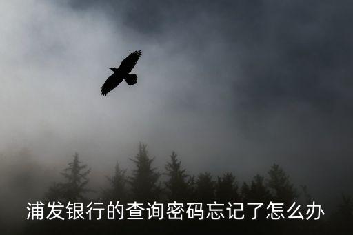 浦發(fā)銀行的查詢密碼忘記了怎么辦