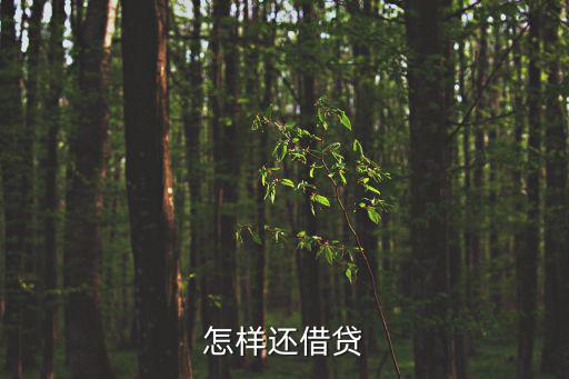 怎樣還借貸