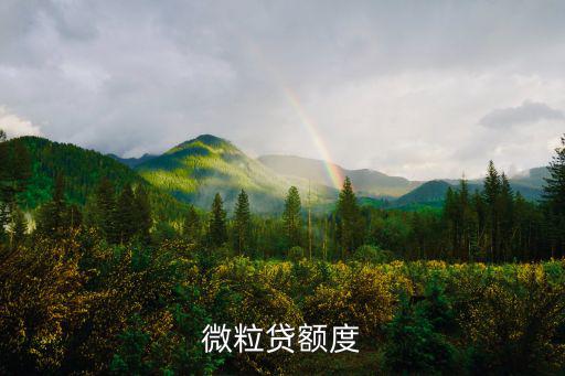 微粒貸額度