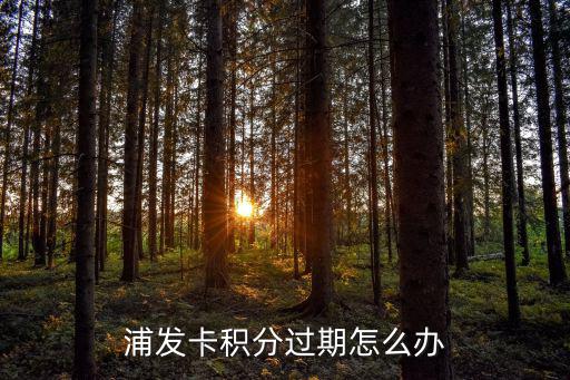 浦發(fā)積分有效期怎么看，我在浦發(fā)銀行的積分月底到期我想在之前獲得你們的會員卡我應(yīng)該