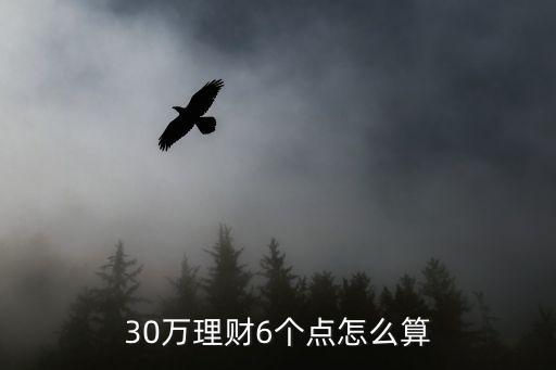 30萬(wàn)理財(cái)6個(gè)點(diǎn)怎么算