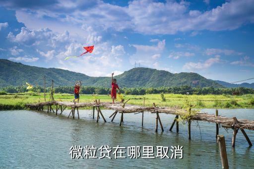 微信里微粒通怎么關(guān)閉，如何關(guān)閉微信里的微眾銀行