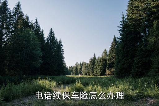 車險怎么電話續(xù)保，那怎么聯(lián)系續(xù)保呀