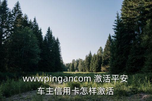 wwwpingancom 激活平安車主信用卡怎樣激活