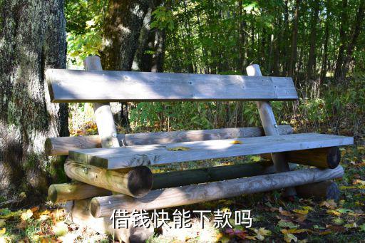 借錢(qián)快怎么下款，下款速度快的貸款平臺(tái)有哪些