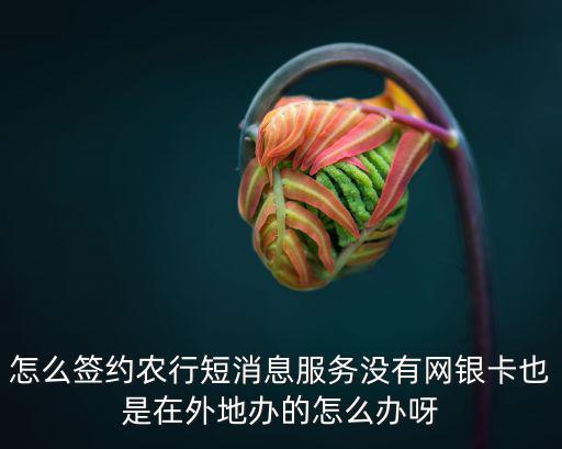 怎么簽約農(nóng)行短消息服務(wù)沒(méi)有網(wǎng)銀卡也是在外地辦的怎么辦呀