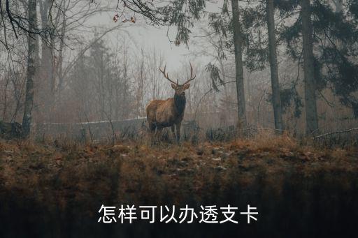怎樣可以辦透支卡