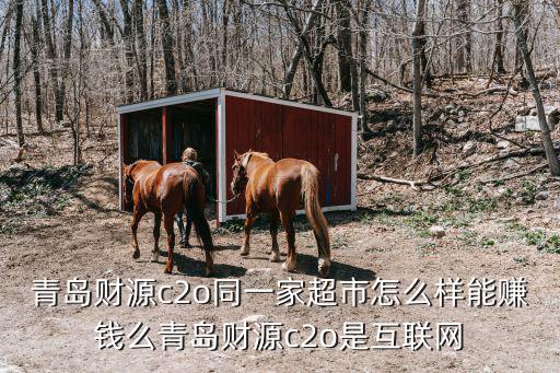 青島財源c2o同一家超市怎么樣能賺錢么青島財源c2o是互聯(lián)網(wǎng)