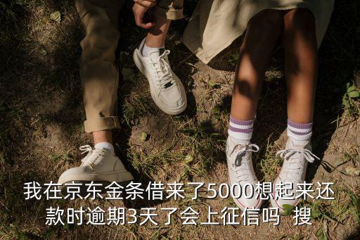 我在京東金條借來(lái)了5000想起來(lái)還款時(shí)逾期3天了會(huì)上征信嗎  搜