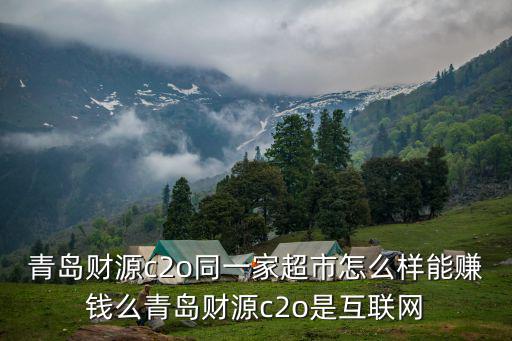金融超市怎么賺錢的，我給海量金融超市介紹客戶有錢賺