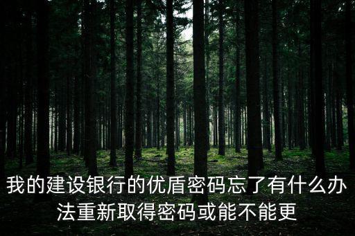 我的建設(shè)銀行的優(yōu)盾密碼忘了有什么辦法重新取得密碼或能不能更
