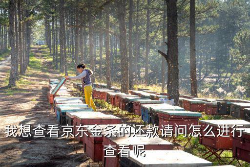 京東金條怎么顯示，京東京東金條訂單在哪里看