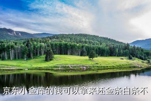 京東小金庫的錢可以拿來還金條白條不