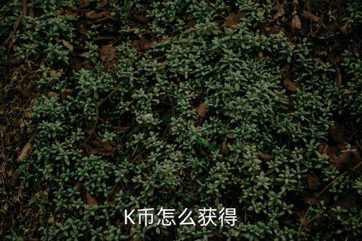 聯(lián)幣金融k怎么取，如何獲取k幣