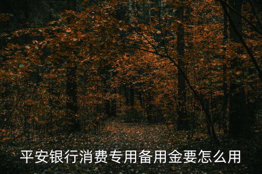 平安備用金怎么用劃算，平安銀行信用卡專用備用金怎么用