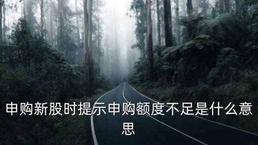 怎么獲得新股申購額度，為什么新股申購額度為0有人知道嗎
