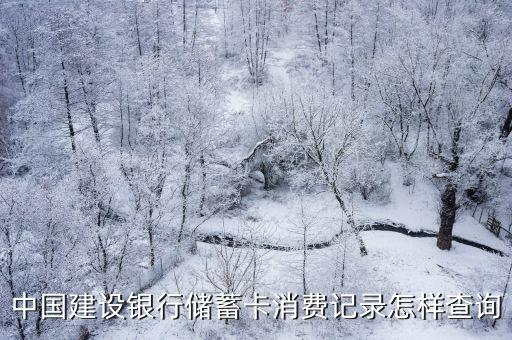 建設(shè)銀行怎么查流水賬，如何進(jìn)行建行查帳