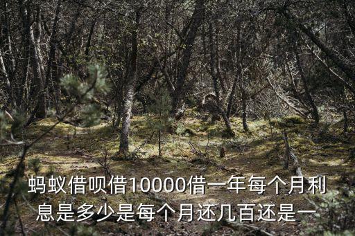 螞蟻借唄借10000借一年每個月利息是多少是每個月還幾百還是一