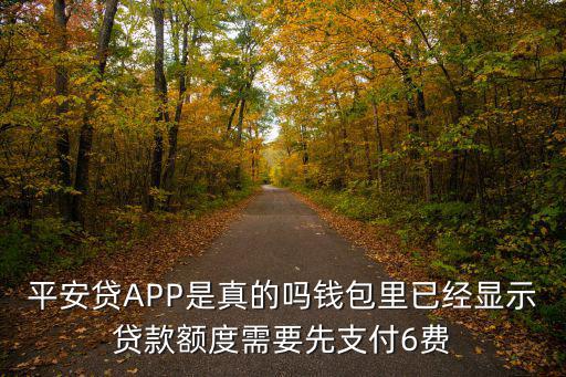 平安貸APP是真的嗎錢包里已經(jīng)顯示貸款額度需要先支付6費
