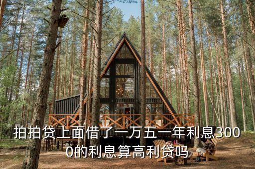 拍拍貸借錢利息怎么算，拍拍貸借2800 一年還4300多少利息