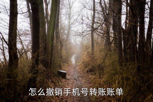 手機(jī)銀行轉(zhuǎn)賬怎么撤回，怎么撤銷手機(jī)號(hào)轉(zhuǎn)賬賬單