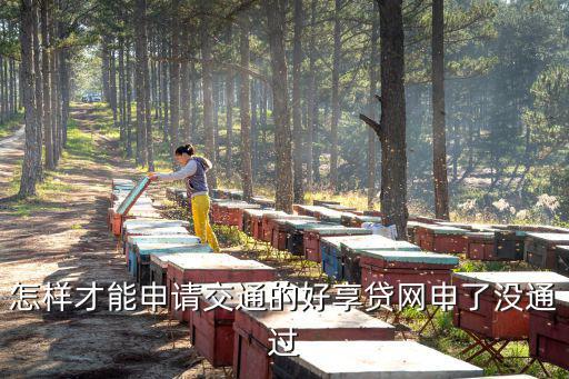 怎樣才能申請交通的好享貸網(wǎng)申了沒通過