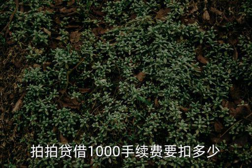 拍拍貸借1000手續(xù)費(fèi)要扣多少