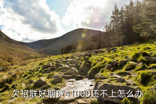 欠招聯(lián)好期貸41000還不上怎么辦