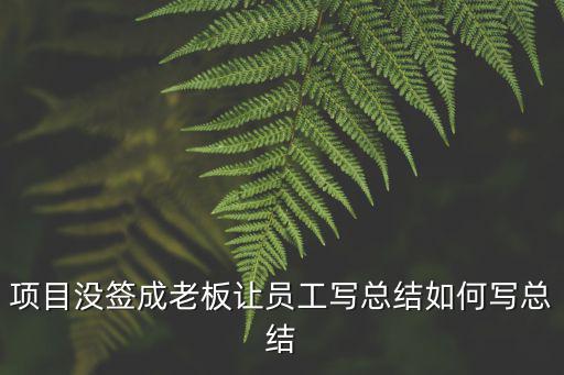 項目沒簽成老板讓員工寫總結(jié)如何寫總結(jié)