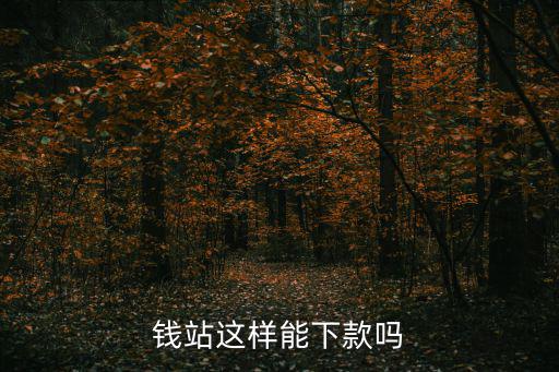 錢站這樣能下款嗎