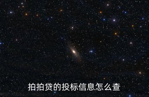 拍拍貸的投標(biāo)信息怎么查