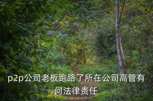 p2p公司老板跑路了所在公司高管有何法律責(zé)任