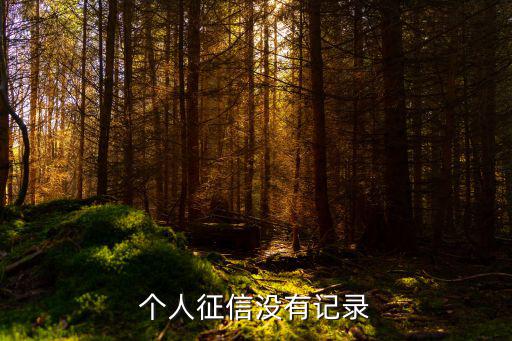 個(gè)人征信沒有記錄